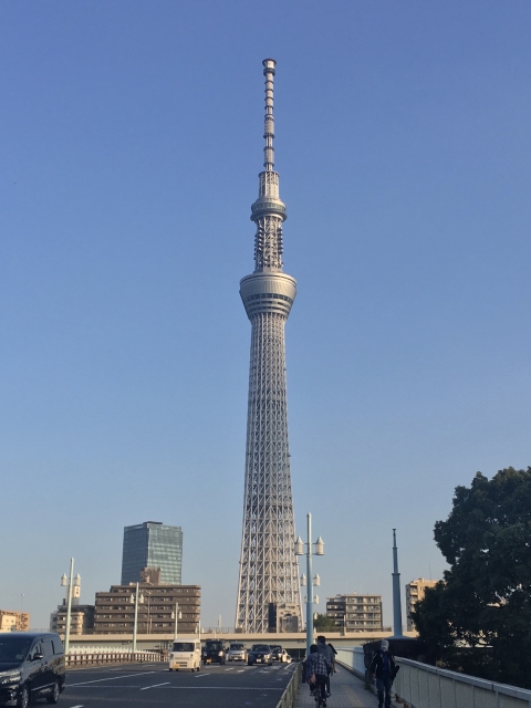 ガイド付き東京観光ツアー