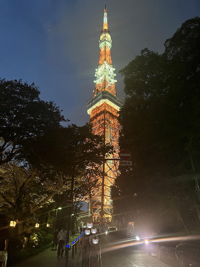 夜景観光（東京タワー）